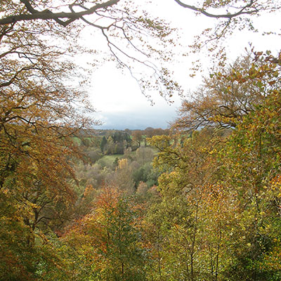 Roslin Glen in the autumn