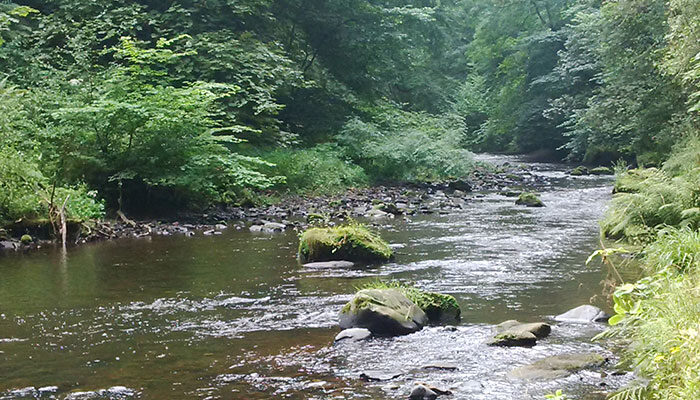 Roslin Glen Walk