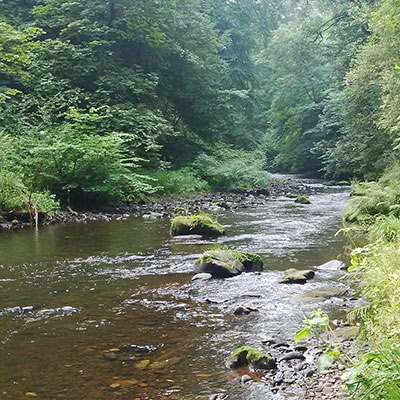 River North Esk flowing through Roslin Glen