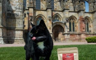 Introducing the purr-fect new gift from Rosslyn Chapel