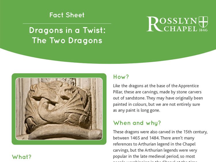 Dragons in a Twist fact sheet