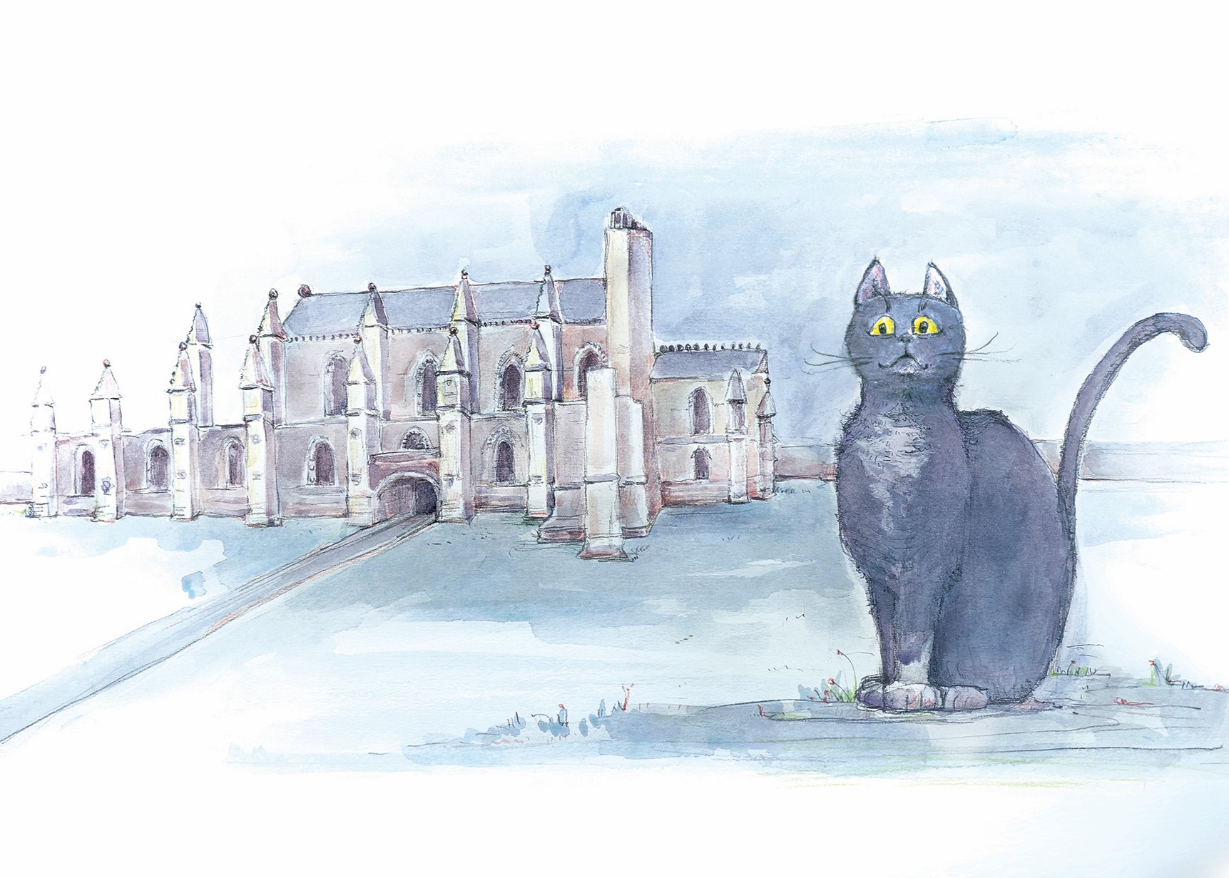 William illustration 7x5
