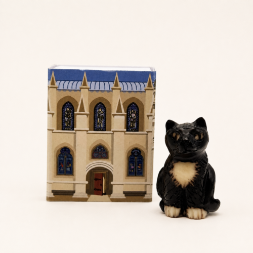 William the Chapel Cat Tagua Town